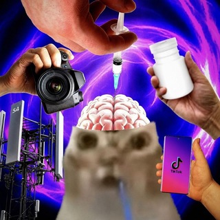 Telegram profile photo for kolay's reels