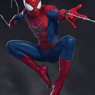 Telegram profile photo for spider tips