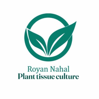 Telegram profile photo for رویان نهال