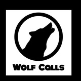 Telegram profile photo for BANKNIFTY WOLF CALLS FRAUD HAI