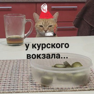 Telegram profile photo for Солярис с двумя я