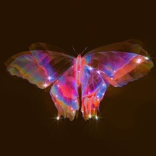 Telegram profile photo for sʜᴀᴅᴏ🦋