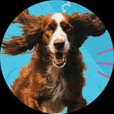 Telegram profile photo for Беги домой. ❤️Помощь легавым и метисам. Ищем дом для самых ласковых и добрых собак.