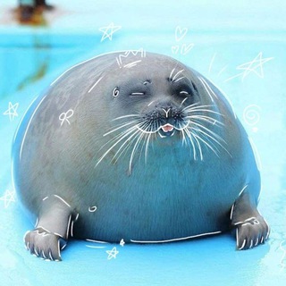 Telegram profile photo for Seal Shop