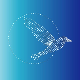 Telegram profile photo for Ворона.бел реклама в лифтах Минск
