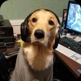 Telegram profile photo for INFO (AboutArhi!)