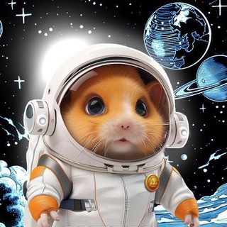 Telegram profile photo for Airdroper