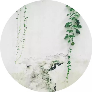 Telegram profile photo for 读书分享