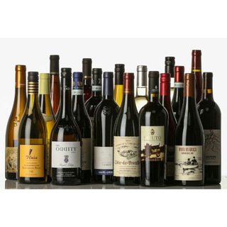 Telegram profile photo for Free Wine