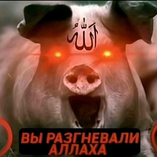 Telegram profile photo for халяль