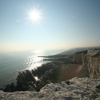 Telegram profile photo for The English Channel