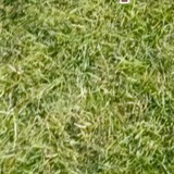 Telegram profile photo for Григорий Бывает
