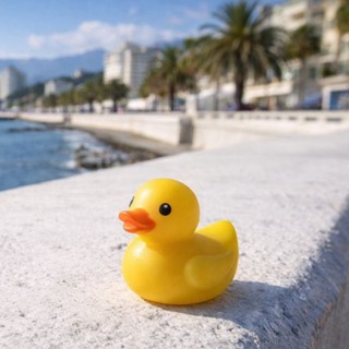 Telegram profile photo for УТКИ СОЧИ 2026
