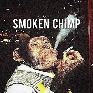 Telegram profile photo for •Smoken Chimp 48•