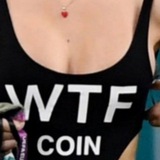 Telegram profile photo for WTF_coin EN