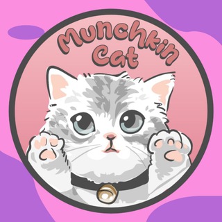 Telegram group profile photo for Munchkin Cat | Official Community