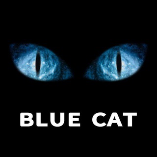 Telegram profile photo for 蓝猫社区