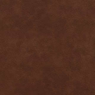Telegram profile photo for Trust in Allah