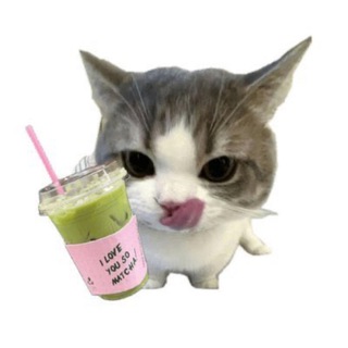 Telegram profile photo for scrims jungle
