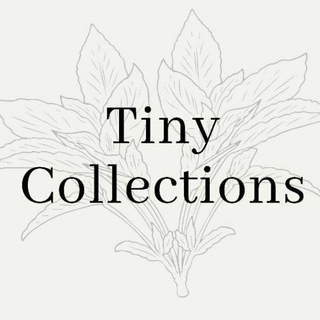 Telegram profile photo for Tiny.co