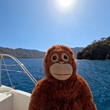Telegram profile photo for Links