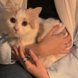 Telegram profile photo for sunprinky