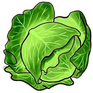 Telegram profile photo for Crypto KAPUSTA