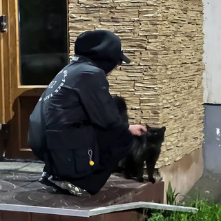 Telegram profile photo for Дебил снова жив?