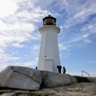Telegram profile photo for TAM in Canada