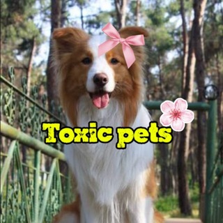 Telegram profile photo for ☢️Toxic pets☢️