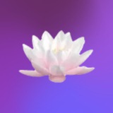 Telegram profile photo for флорал ФК завяли ›¦🪷¦‹