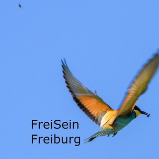 Telegram profile photo for FreiSeinFreiburg Infokanal