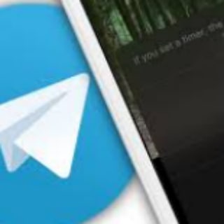 Telegram profile photo for MSNka