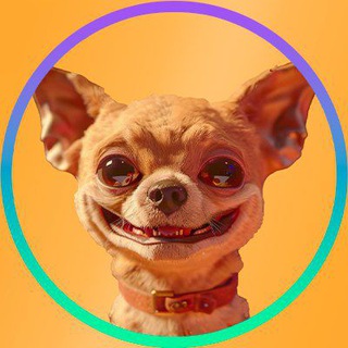 Telegram profile photo for HUMP