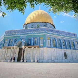 Telegram profile photo for قناة صُهَيْب