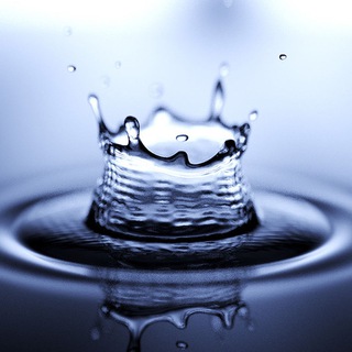 Telegram profile photo for Splash Sports - Free Plays