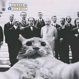Telegram profile photo for Medspace