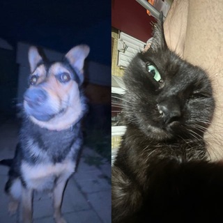 Telegram profile photo for канал милы и милы | сулажин