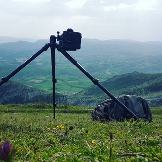 Telegram profile photo for #soundofnatureproject