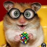 Telegram profile photo for боссин
