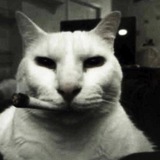 Telegram profile photo for Низкозажизненное