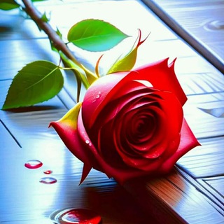Telegram profile photo for 🌺کانال متن وشعر وکلیپ واهنگ ودکلمه🌺