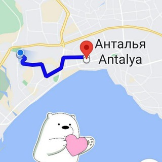 Telegram profile photo for Mishkin'Move Antalya☀️🌴