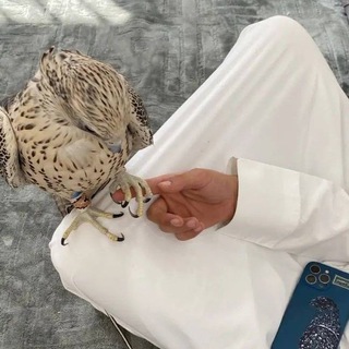 Telegram profile photo for صور ستريك 🤍🧑🏼🦯.