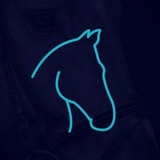 Telegram profile photo for WINNING TIPS