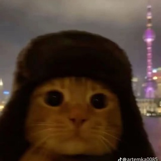 Telegram profile photo for Артемчик