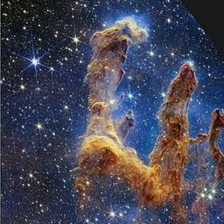 Telegram profile photo for علوم هفتم/دانه زن /تیزهوشان