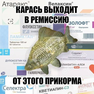 Telegram profile photo for Плесенев компост
