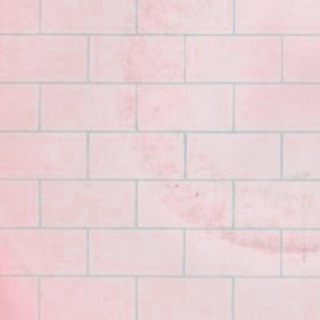 Telegram profile photo for Another bricks in the wall