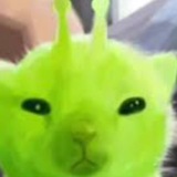 Telegram profile photo for Оформа Зипки !
